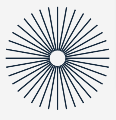 Cybernetik Website Element